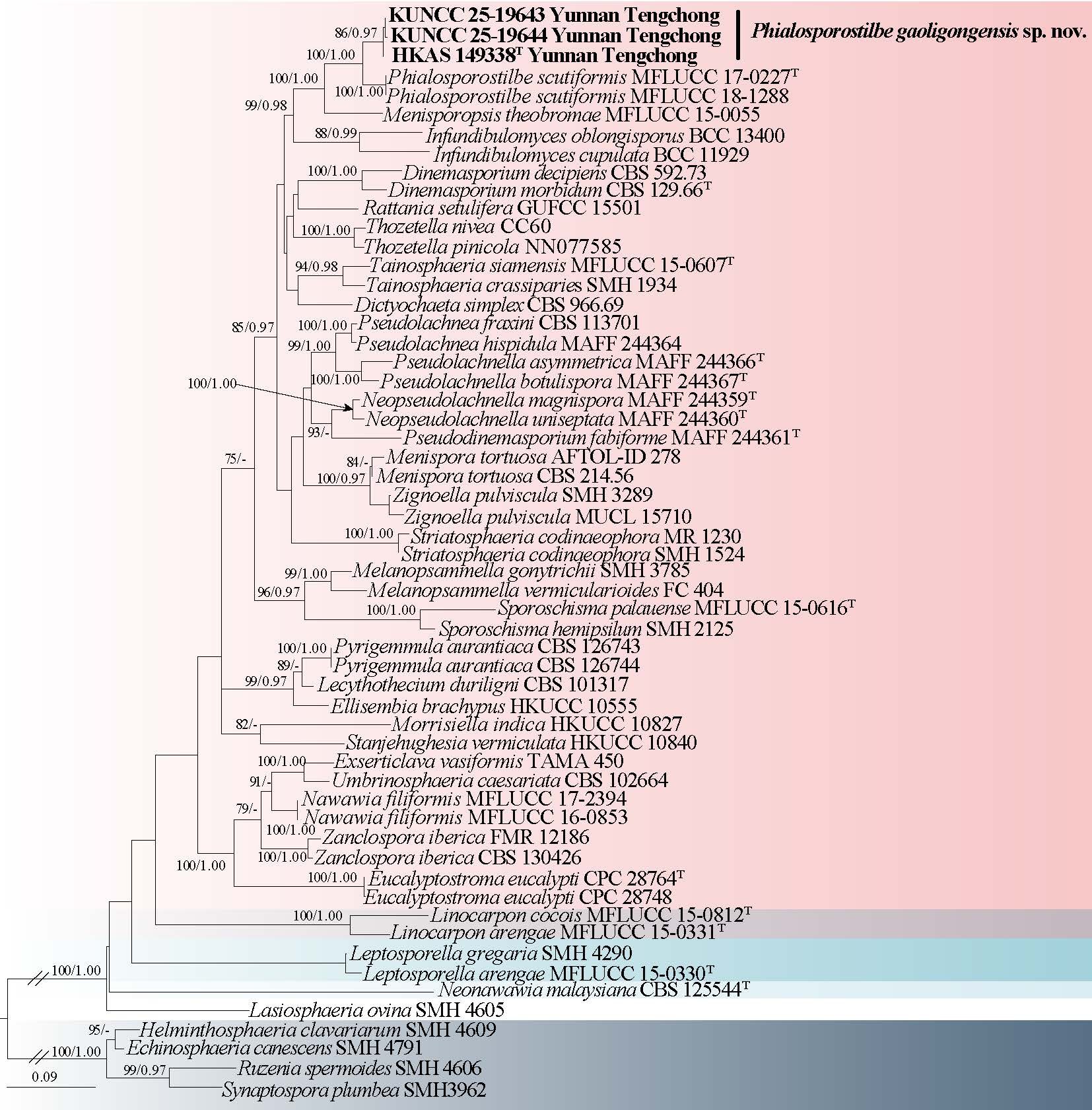 Figure 37